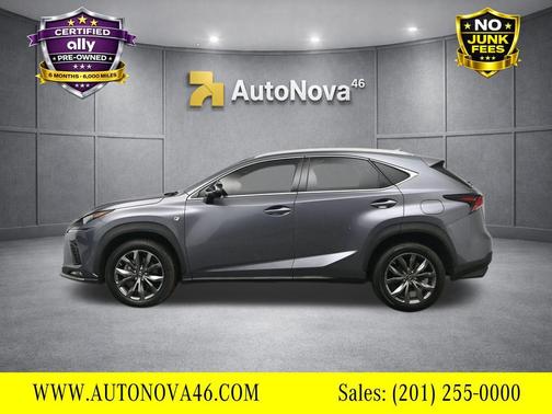 Nebula Gray Pearl 2020 Lexus NX 300 F Sport