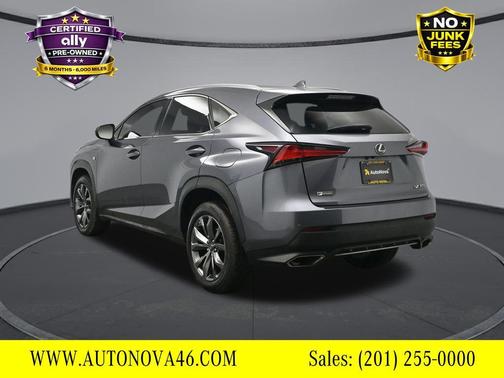 2020 Lexus NX 300 F Sport