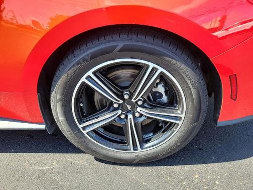 RACE RED 2024 Ford Mustang ECOBOOST PREMIUM