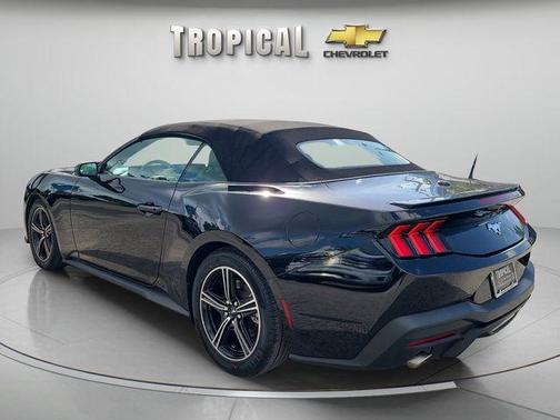 Shadow Black 2024 Ford Mustang EcoBoost Premium