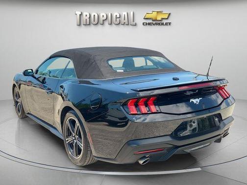 Shadow Black 2024 Ford Mustang EcoBoost Premium