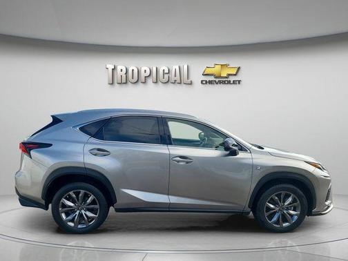 Silver 2021 Lexus NX 300 F Sport
