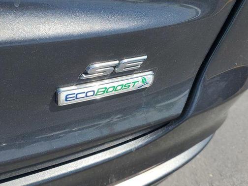 Magnetic 2020 Ford Fusion SE