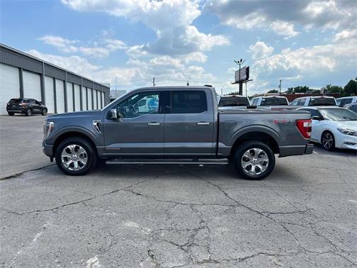 2021 Ford F-150 Platinum