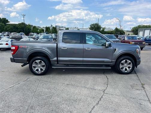 2021 Ford F-150 Platinum