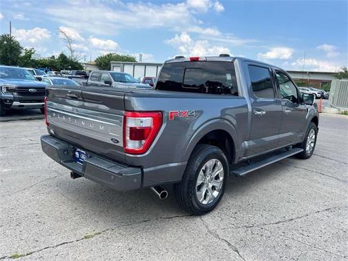 2021 Ford F-150 Platinum