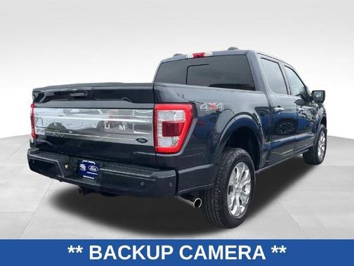 SMOKED QUARTZ TINTED CC MET 2022 Ford F-150 PLATINUM