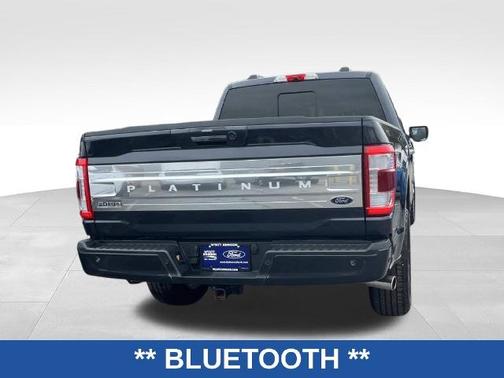 SMOKED QUARTZ TINTED CC MET 2022 Ford F-150 PLATINUM