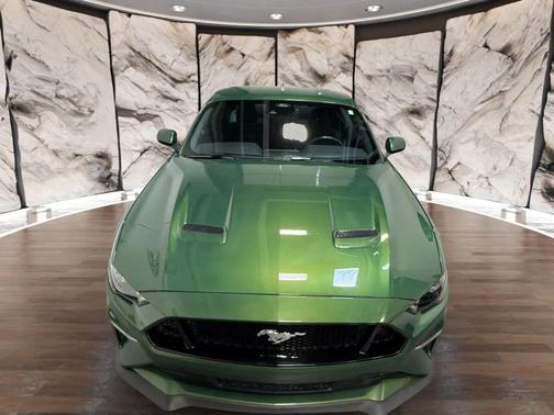 Eruption Green Metallic 2022 Ford Mustang GT