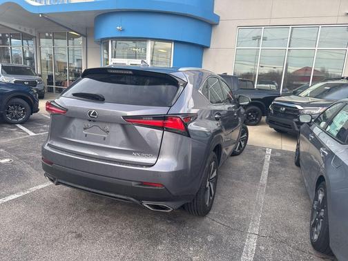 Nebula Gray Pearl 2019 Lexus NX 300 Base