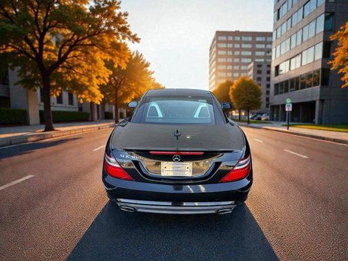 2016 Mercedes-Benz SLK-Class SLK300 Roadster