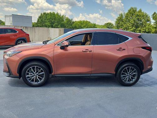 2025 Lexus NX 250 Premium