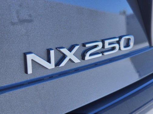 2025 Lexus NX 250 Premium