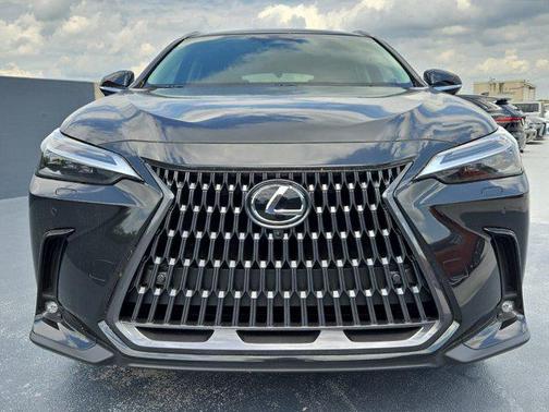 2025 Lexus NX 350 Luxury