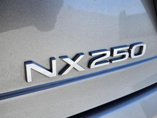 2025 Lexus NX 250 Premium