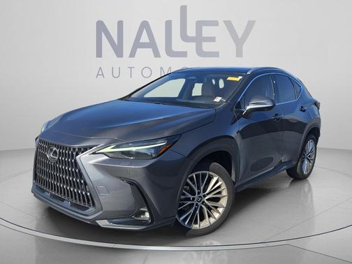 Cloudburst Gray 2024 Lexus NX 350 Luxury