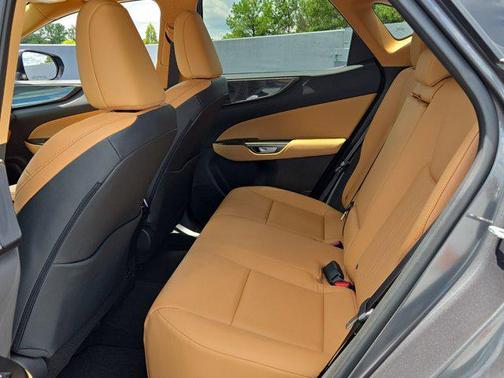 2025 Lexus NX 250 Premium