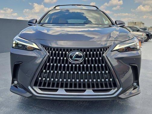 2025 Lexus NX 250 Base