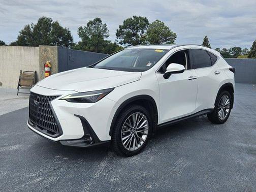 2023 Lexus NX 350 Luxury