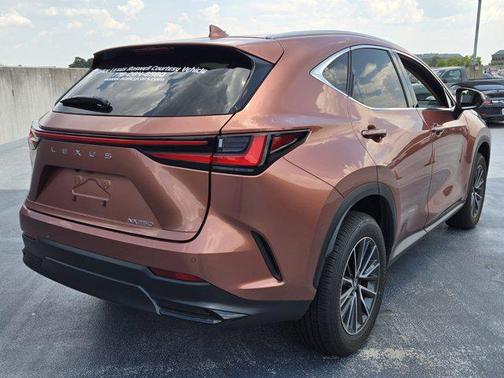 2025 Lexus NX 250 Premium