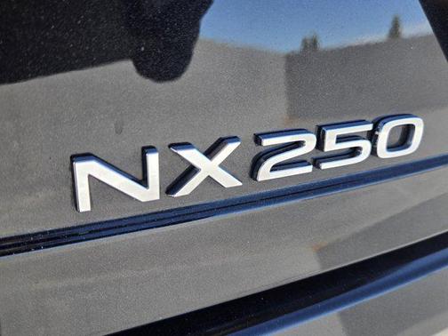 2025 Lexus NX 250 Premium