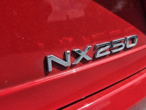 2025 Lexus NX 250 Premium