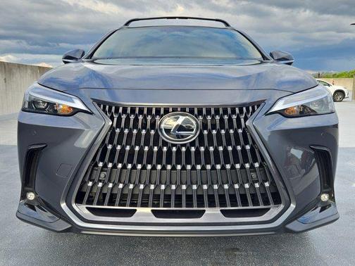2025 Lexus NX 250 Base