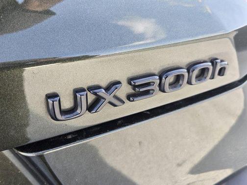 2025 Lexus UX 300h Premium