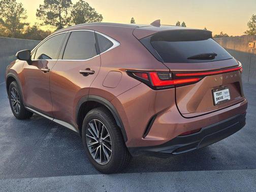 2025 Lexus NX 250 Premium