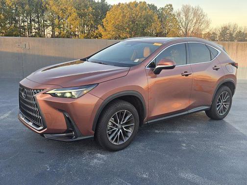 2025 Lexus NX 250 Premium