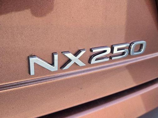 2025 Lexus NX 250 Premium