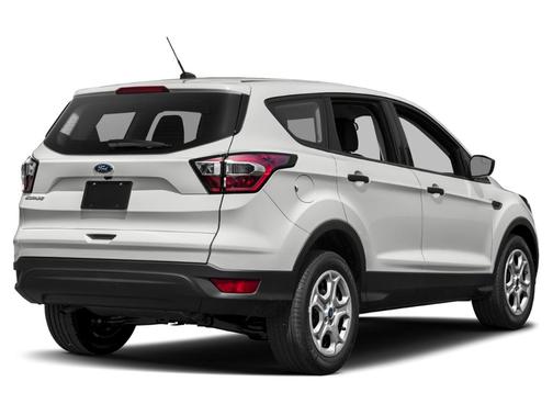 Magnetic 2019 Ford Escape SEL