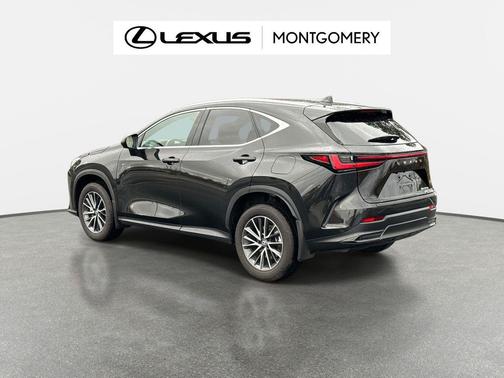 2025 Lexus NX 350h Luxury