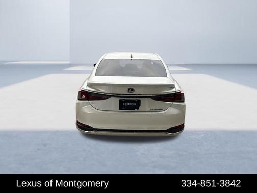 2019 Lexus ES 300h Luxury