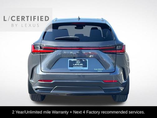 Cloudburst Gray 2024 Lexus NX 350 Premium