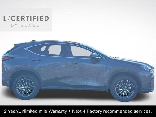 Cloudburst Gray 2024 Lexus NX 350 Premium