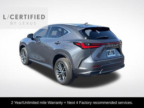 Cloudburst Gray 2024 Lexus NX 350 Premium