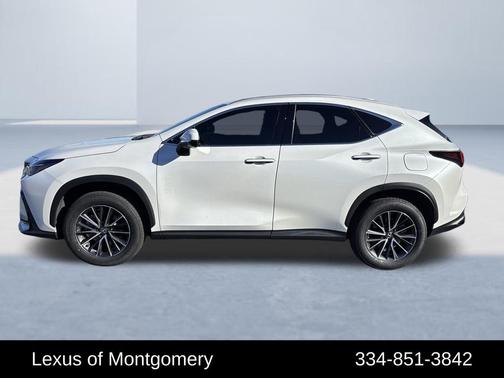 2024 Lexus NX 250 Premium