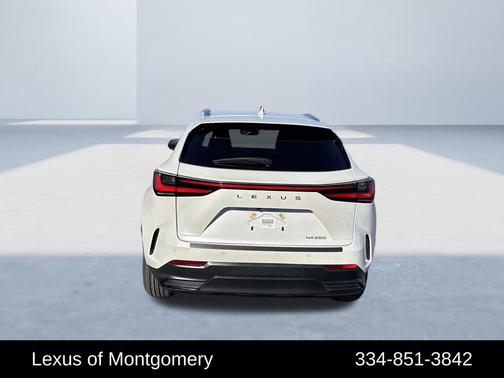 2024 Lexus NX 250 Premium