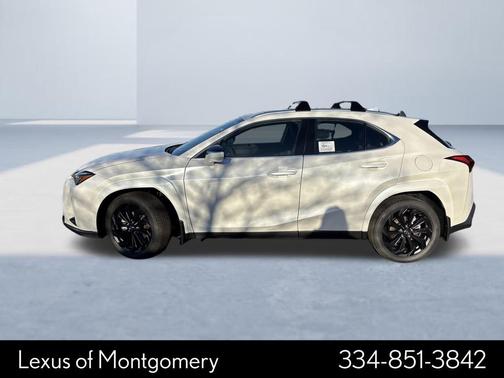 2025 Lexus UX 300h Premium