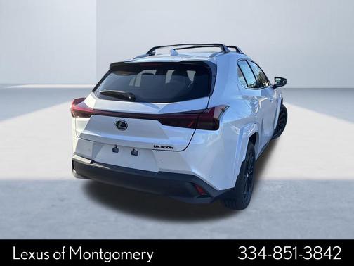 2025 Lexus UX 300h Premium