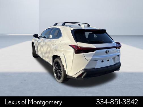 2025 Lexus UX 300h Premium