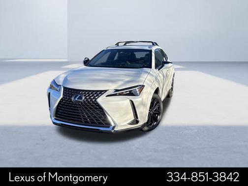 2025 Lexus UX 300h Premium