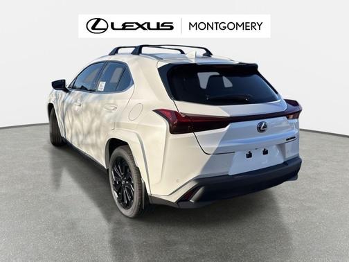 2025 Lexus UX 300h Premium