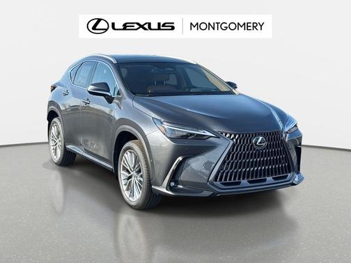 2026 Lexus NX 350h Luxury