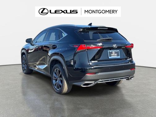 2020 Lexus NX 300 F Sport