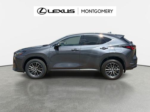 2025 Lexus NX 250 Premium