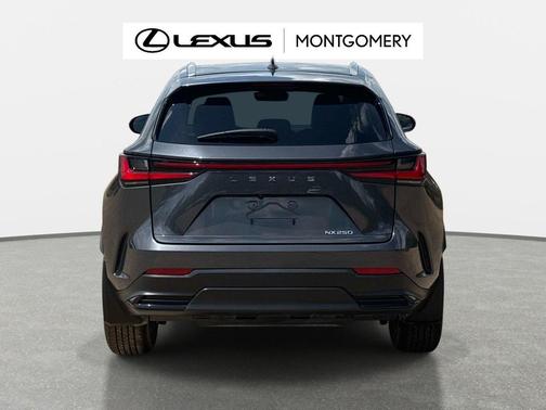2025 Lexus NX 250 Premium