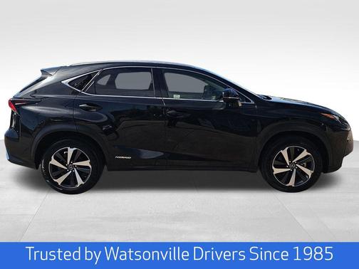 Obsidian Black 2021 Lexus NX 300h 300H