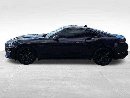 Purple Metallic 2022 Ford Mustang EcoBoost